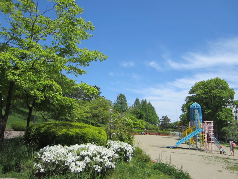 近隣の「榴ヶ岡公園」